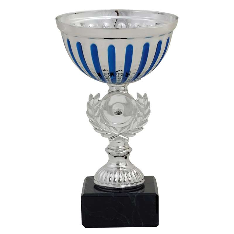 Celebrate Academic Achievements with Our Awards