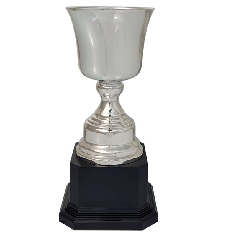 Celebrate Every Victory with Our Multisport Trophies