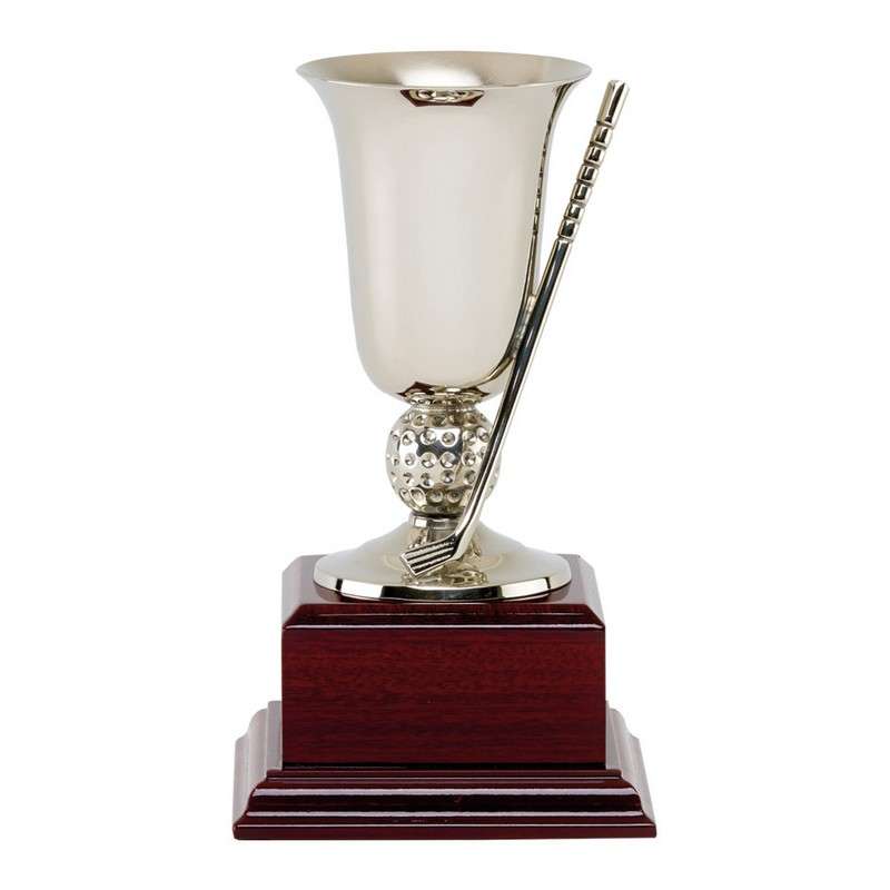 Elevate Your Game with Our Golf Trophies