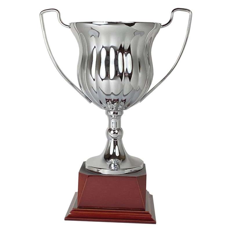 Elevate Your Celebrations with Premium Cups