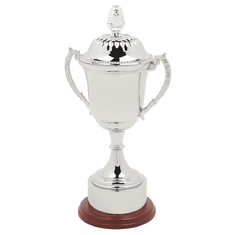 Elegant Nickel Plated Cups for Every Occasion