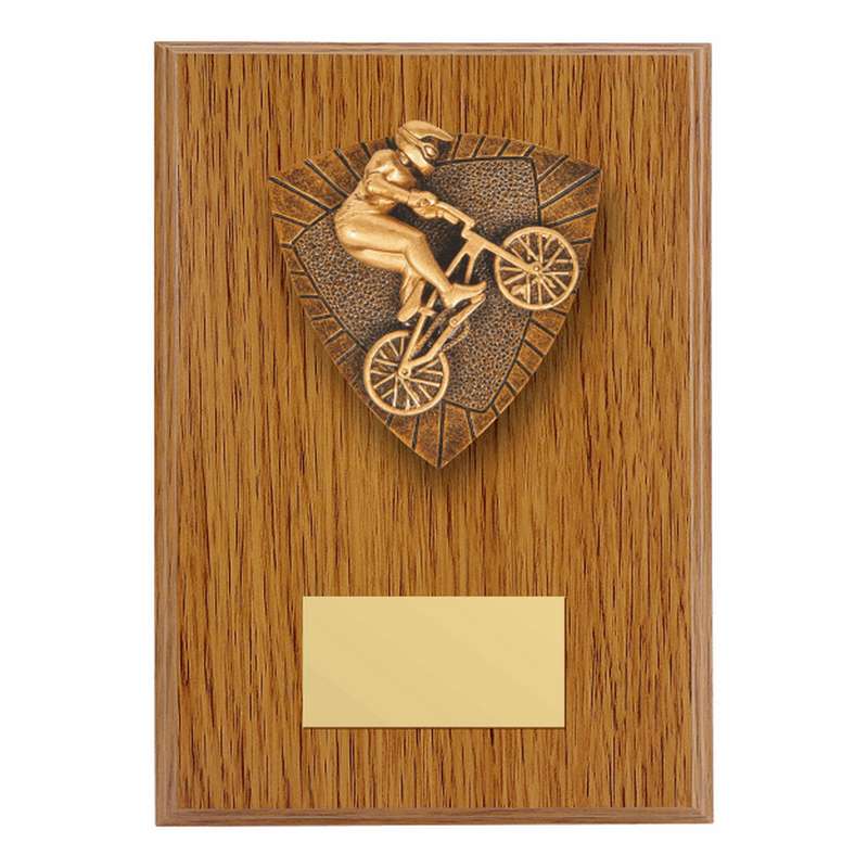 Celebrate Achievements with a Cycling Plaque
