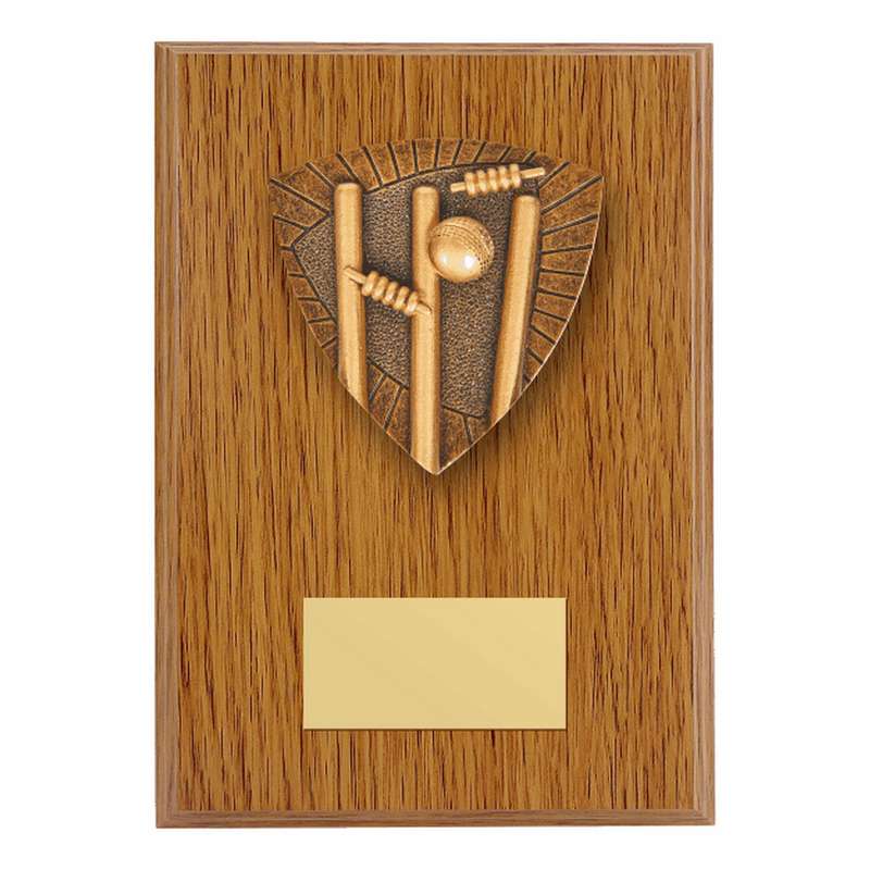 Celebrate Cricket Achievements with Stunning Plaques